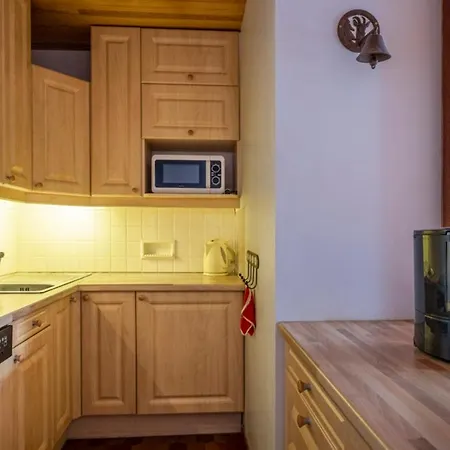 With Balcony Close To The Slopes 霞慕尼